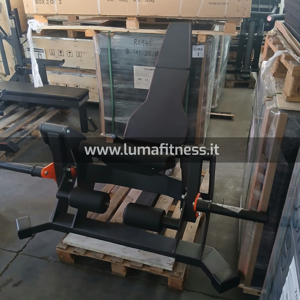 Lacertosus Usato Leg Extension Club Line Lacertosus (CB-LE) - immagine 3