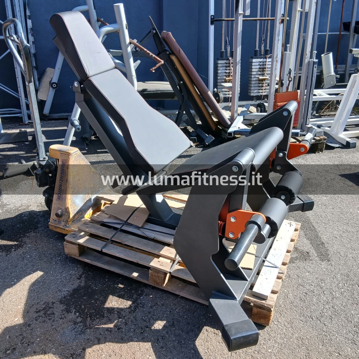 Lacertosus Usato Leg Extension Club Line Lacertosus (CB-LE) - immagine 10