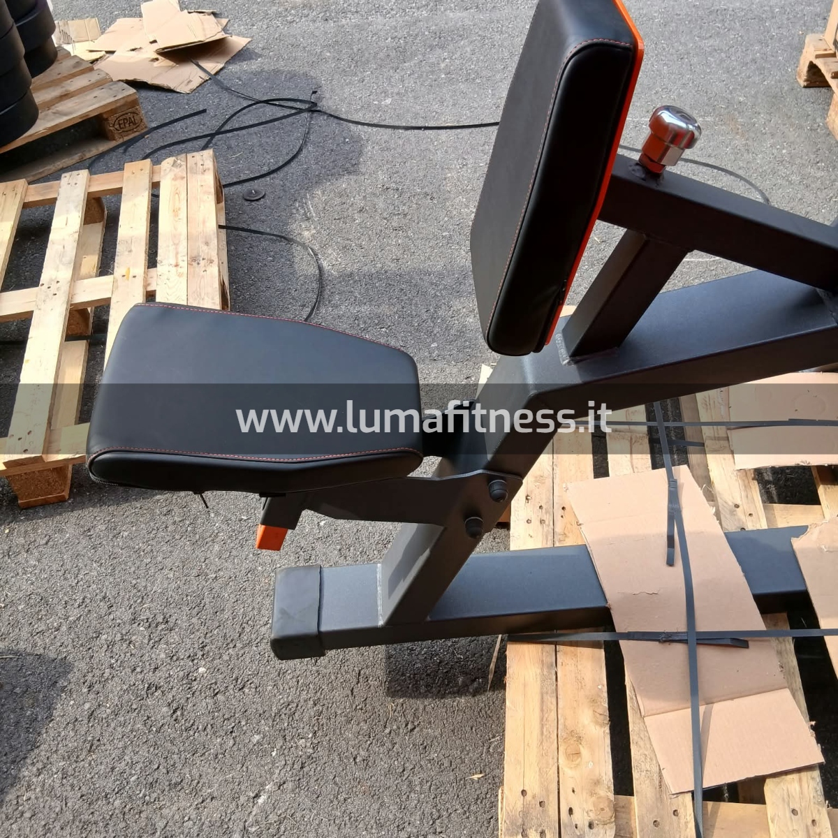 Lacertosus Usato Vertical Row Club Line Lacertosus (CB-VR) - immagine 9